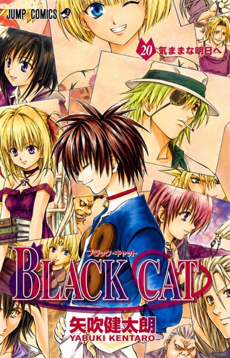 Black Cat ES Cover Image